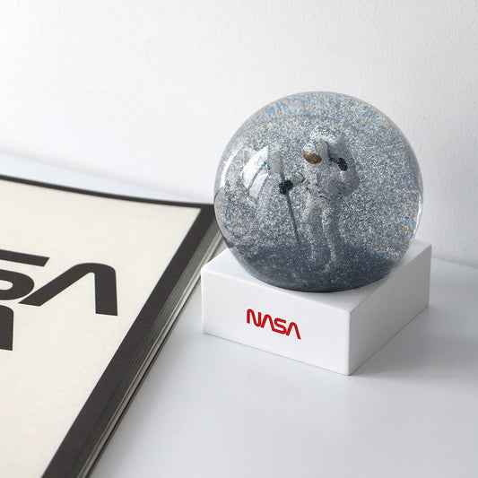 NASA Snow Globe